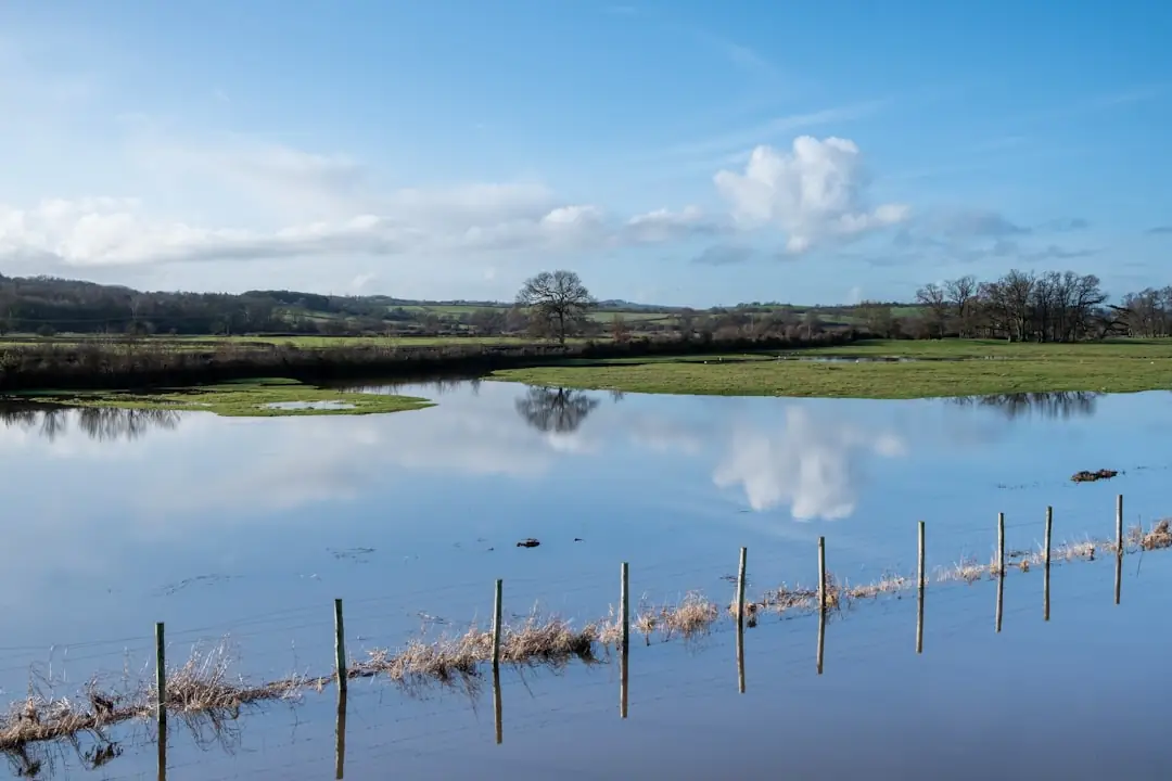 Buying Land in a Flood Zone: Understanding the Real Risks