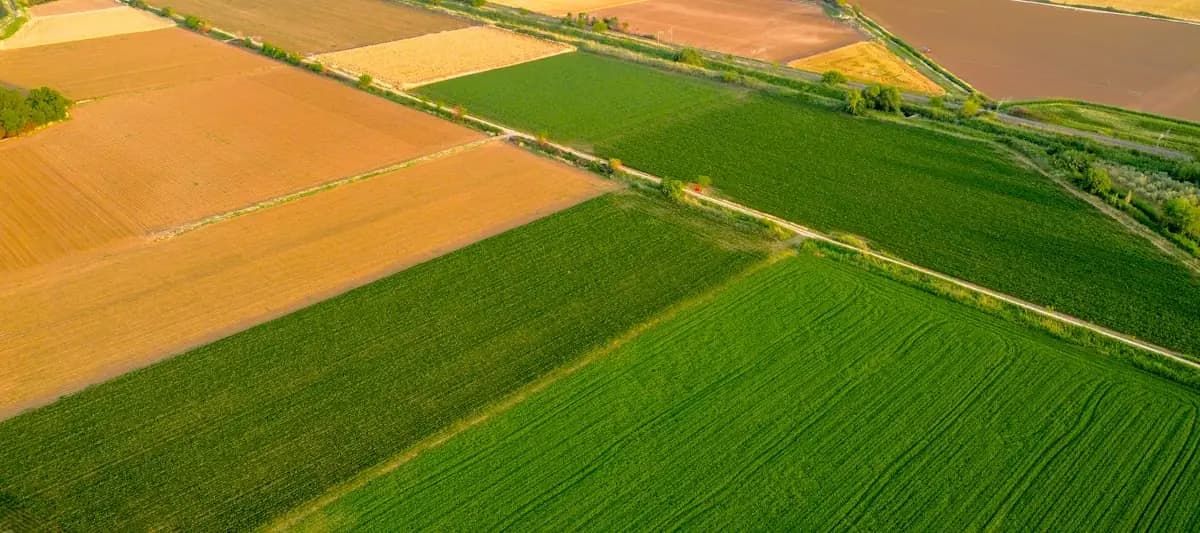 Buying Land in Texas and South Carolina: A Beginner's Guide
