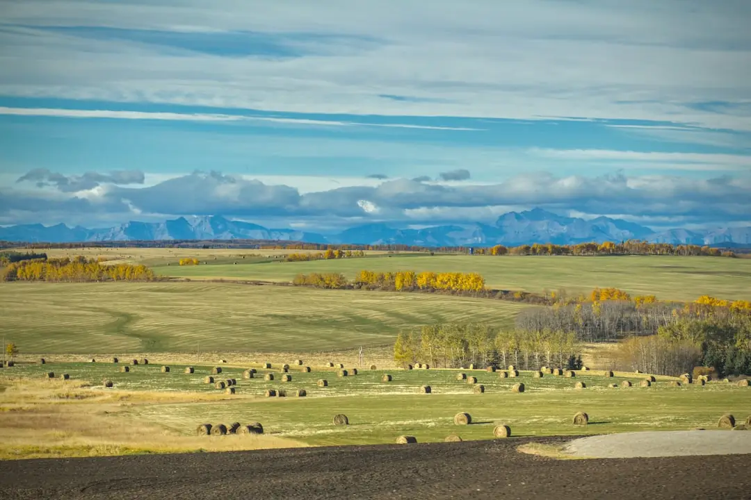 Why Data Centers Are Looking at Rural Land (And What It Means)