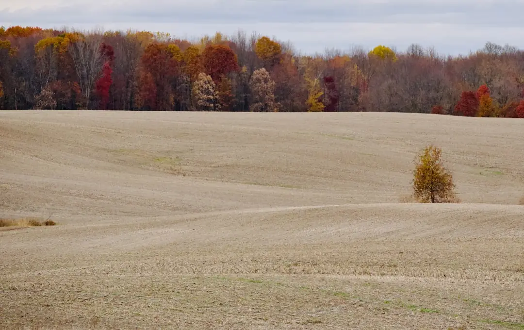 How to Evaluate Raw Land Before Buying: A Practical Guide