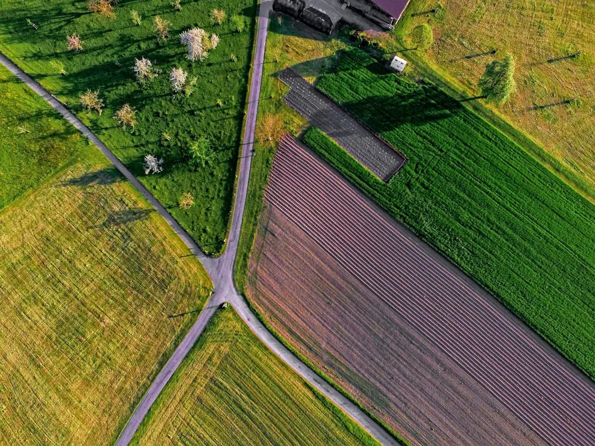 How to Sell Your Land for Cash in Texas and South Carolina: The Complete Guide
