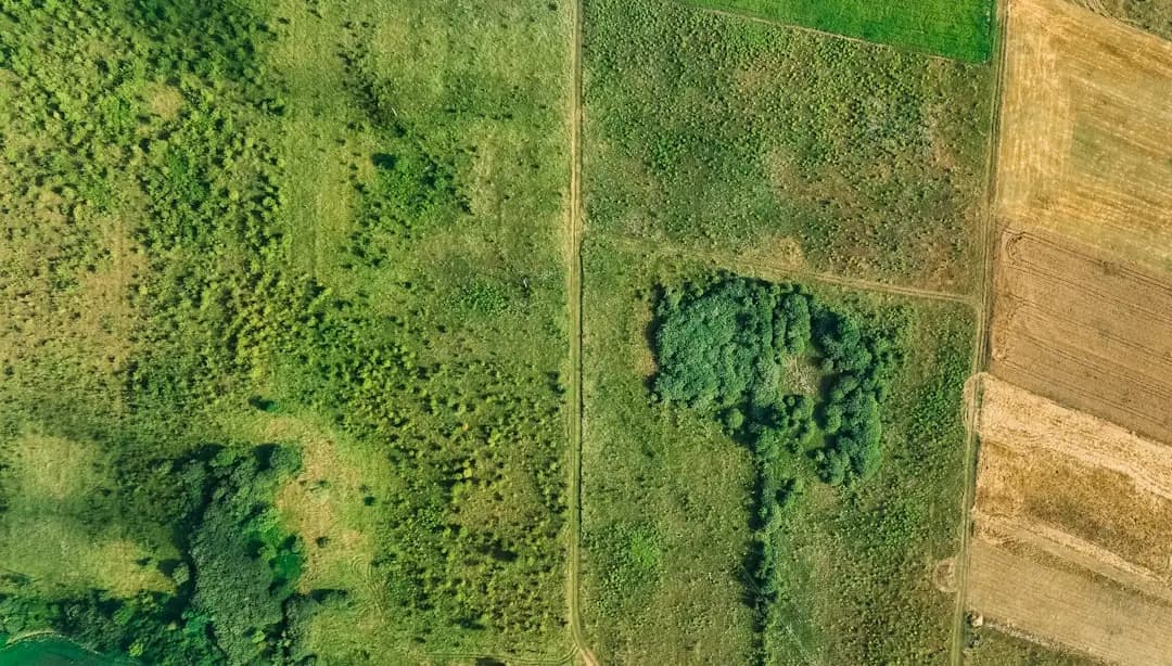How to Wholesale Land: A Step-by-Step Guide for Beginners