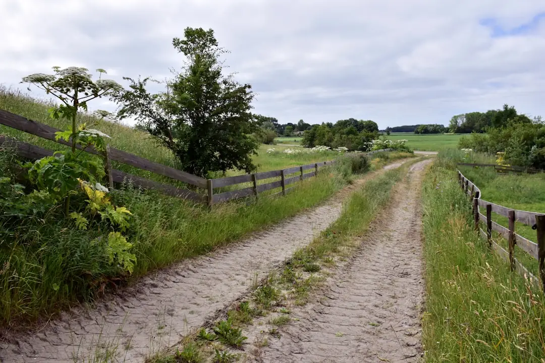 Getting Access to Landlocked Property: Your Easement Options