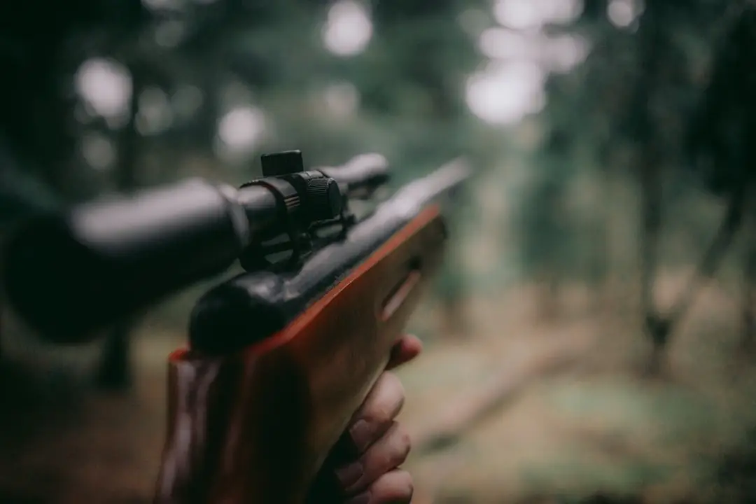 Recreational Hunting Land Buyer Guide: What to Know First