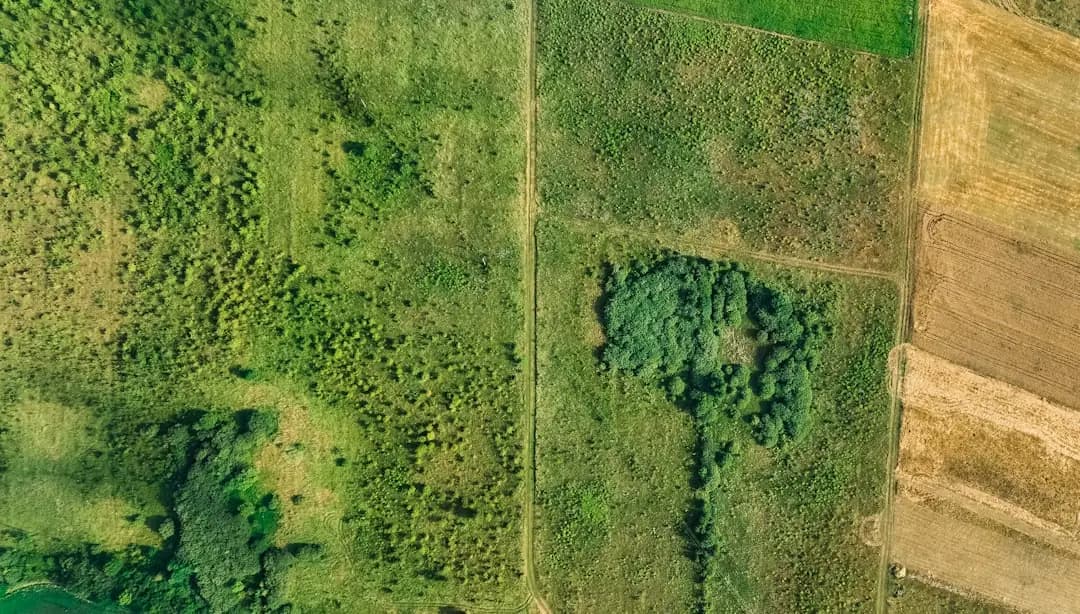 Self-Directed IRA Land Investing: A Beginner's Guide