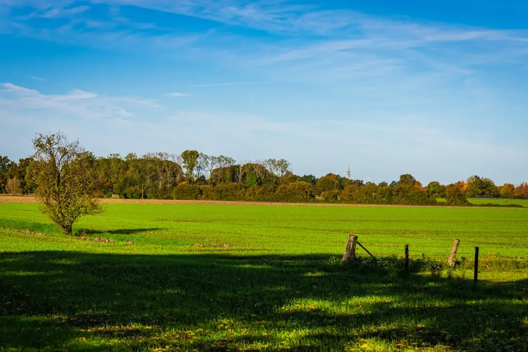 Selling Inherited Land: A Step-by-Step Guide for Landowners