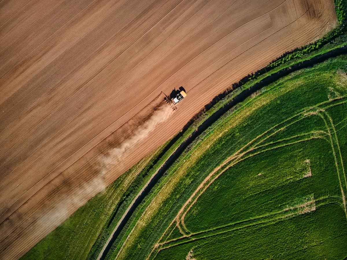 She Buys Land by the Numbers: What We Buy and Sell in Texas and South Carolina