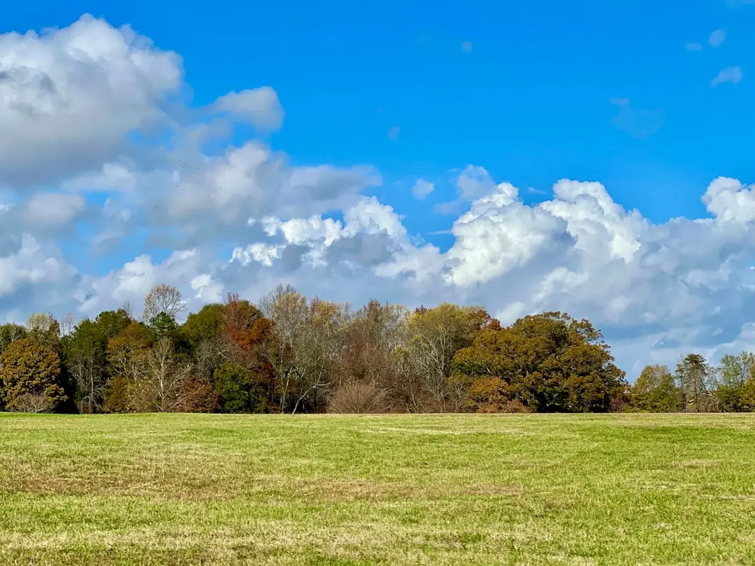 South Carolina Rural Land Market 2026: What to Expect