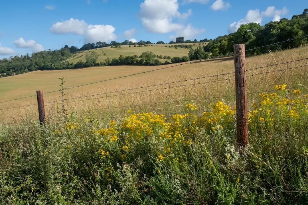 Does Subdividing Land Increase Value? What Landowners Should Know