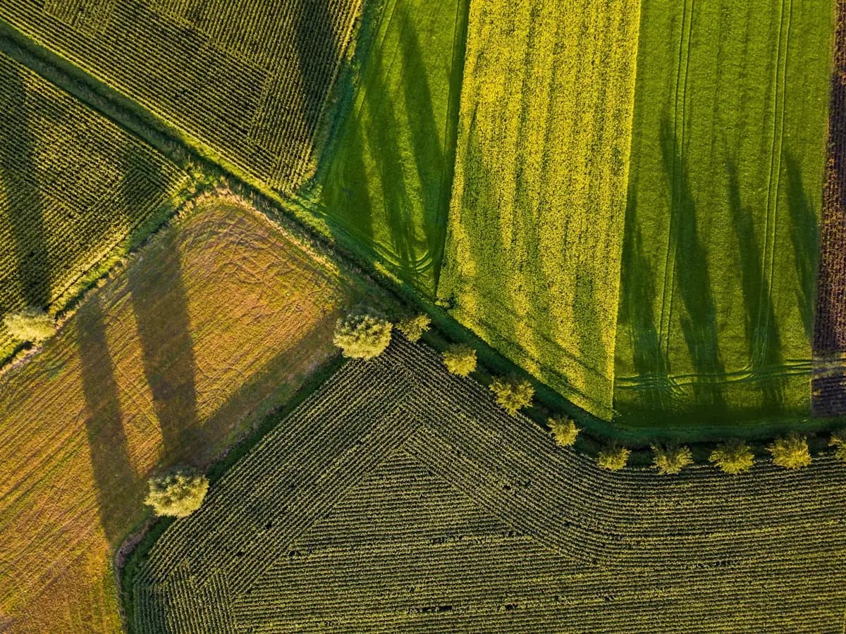 What Is My Land Worth? How to Value Rural and Vacant Land