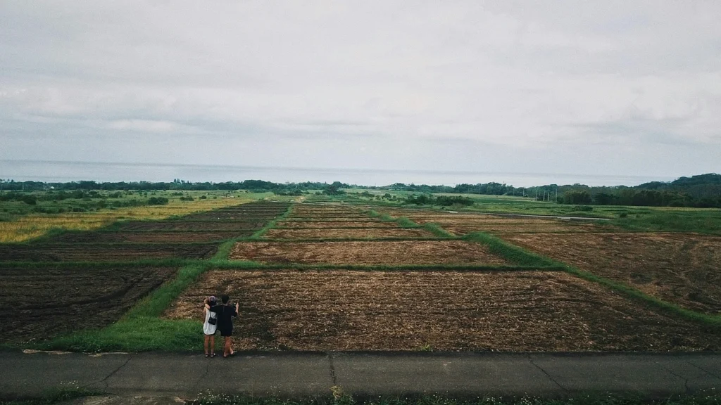 buying a land