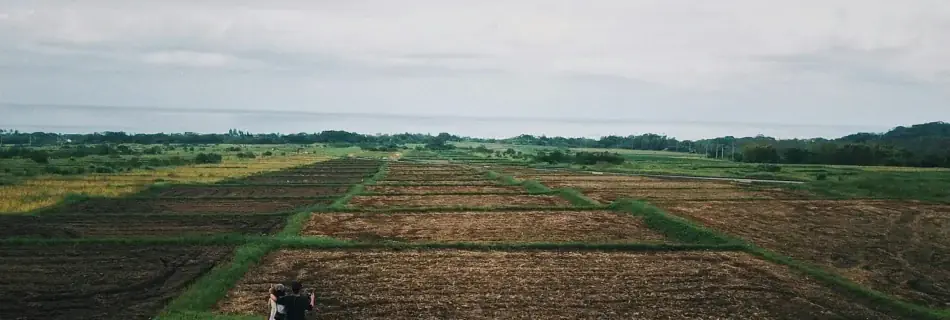 buying a land