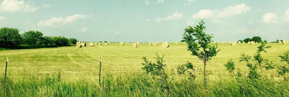 Big sky with a beautiful field with rolled bailed hay