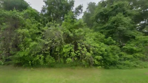 County Rd 352 Wild Peach Village, TX 77422