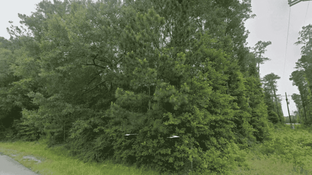 1.23 Acres Conroe Texas