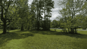 Whispering Pines Dr, Conroe, TX, 77302