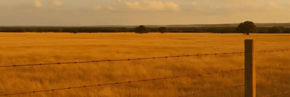 Acres for Sale in Texas