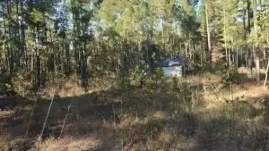 Hwy 34, Effingham, SC, 29541 Hwy 34, Effingham, SC, 29541