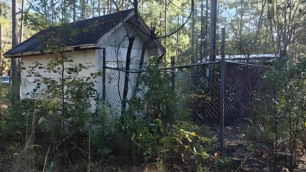 1.62 Acres of Land for Sale in Effingham image 4