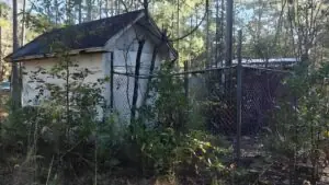 Hwy 34, Effingham, SC, 29541 Hwy 34, Effingham, SC, 29541