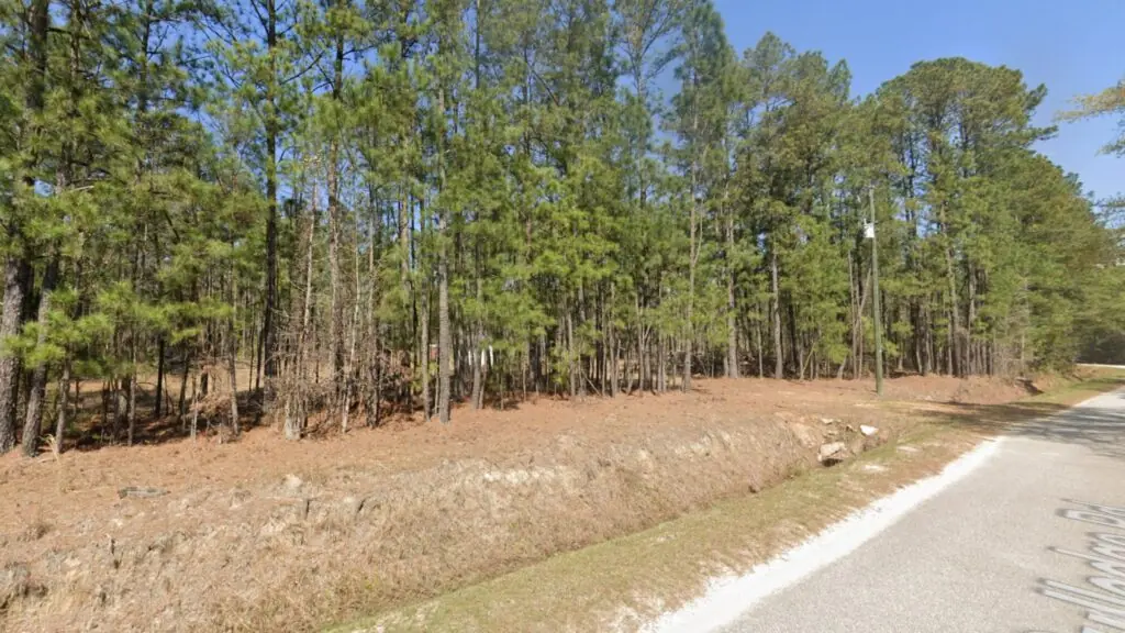 1.62 Acres of Land for Sale in Effingham image 3