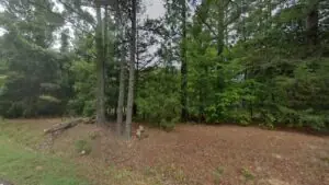 Hwy 56, Clinton, SC, 29325