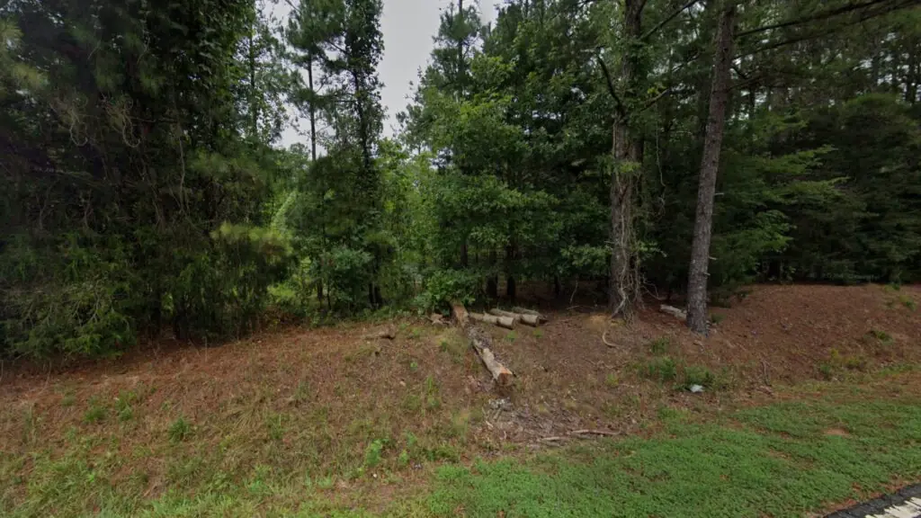 4.41 Acres of Wooded Land in Clinton SC image 2