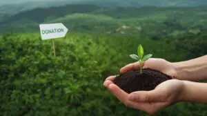 Donating inherited vacant land for tax deduction benefits.