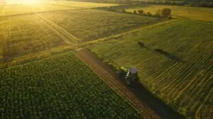 farmland generating income from vacant land
