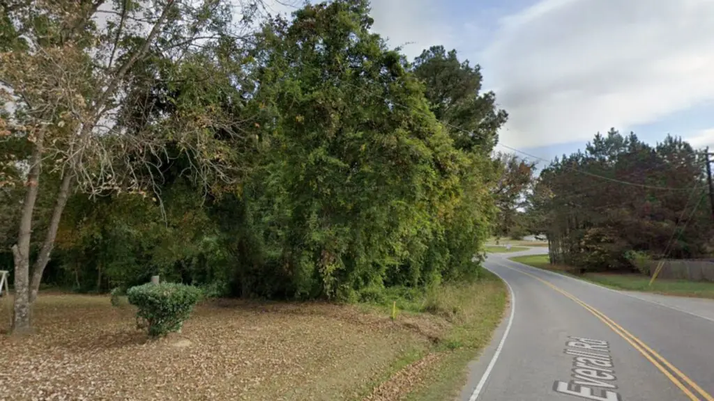2 Lots in 1 | 1 Acre Total with Road Frontage in Lancaster SC image 2