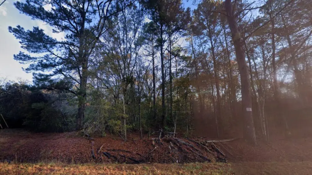 1-Acre Land – Owner Financing Available image 1