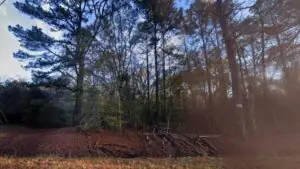 Cohen Rd, Pineland, SC, 29934 Cohen Rd, Pineland, SC, 29934