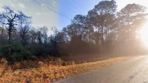 Cohen Rd, Pineland, SC, 29934 Cohen Rd, Pineland, SC, 29934