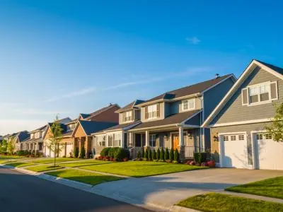 Timber and Forest Land