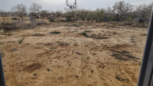 17145 Blue Breeze, Elmendorf, TX, 78112