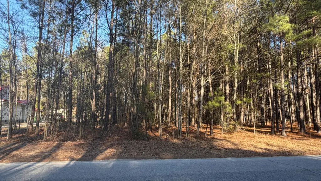 1 Acre for Sale in Timmonsville SC image 1