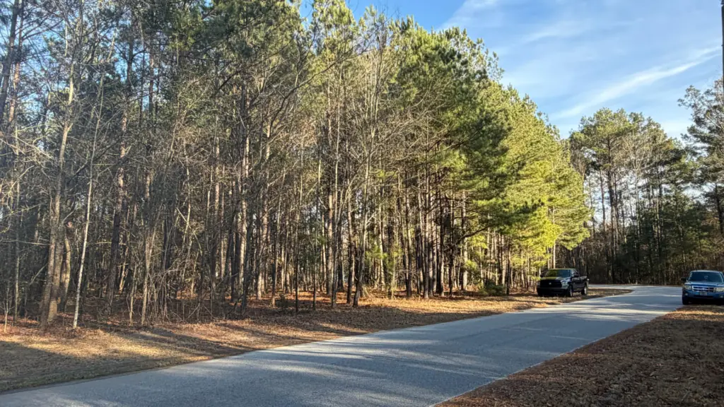 1 Acre for Sale in Timmonsville SC image 2