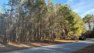 713 Branch Rd, Timmonsville, SC 29161