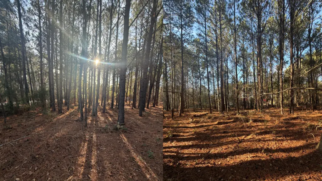 1 Acre for Sale in Timmonsville SC image 4