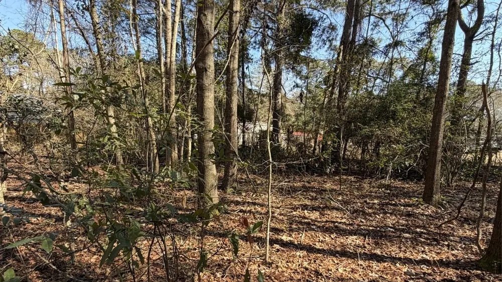 33,541 SqFt Land for Sale in Yemassee SC image 3