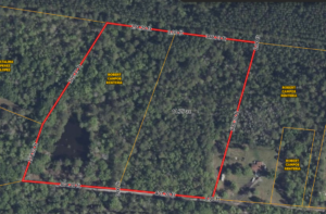 Oliver Dr Pineland SC 29934