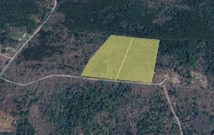 Oliver Dr Pineland SC 29934