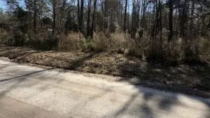 Rosemary Rd, Yemassee, SC 29945