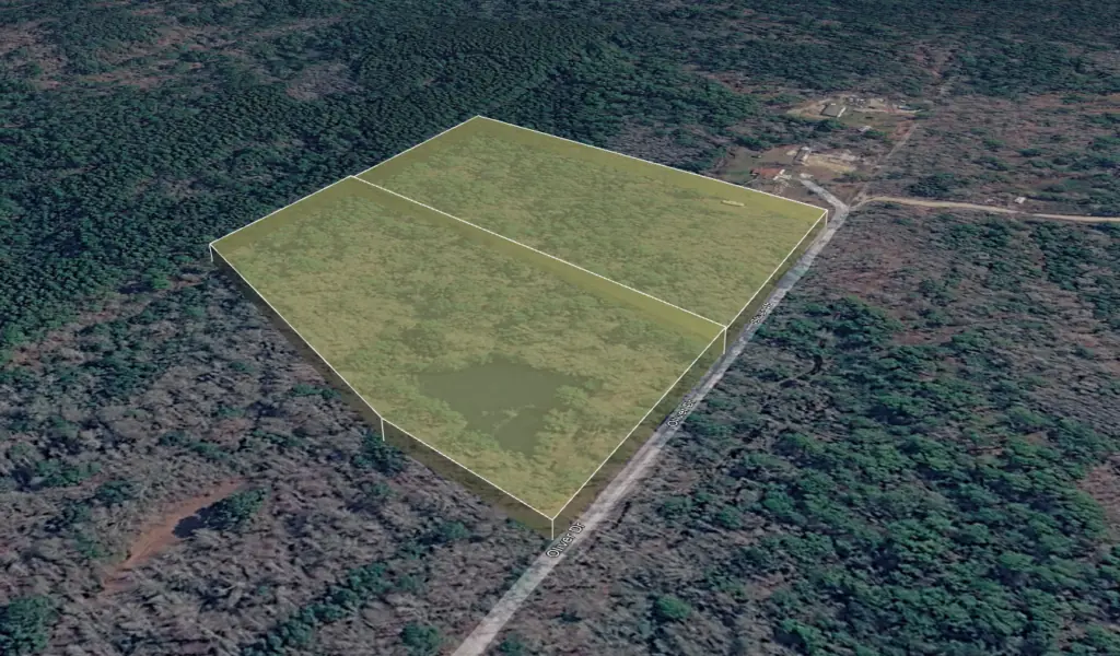 2-Lot Combo Land for Sale in Pineland, SC image 4
