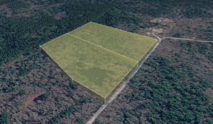 Oliver Dr Pineland SC 29934