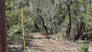 County Road 2475, Hondo, TX 78861