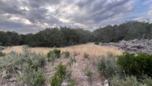 County Road 2475, Hondo, TX 78861