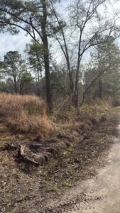 Oliver Dr Pineland SC 29934