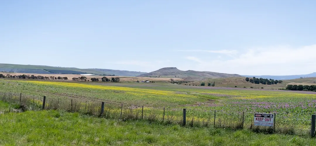 Grassy field with wooden fence line and mountain range in distance under clear sky Grassy field with wooden fence line and mountain range in distance under clear sky